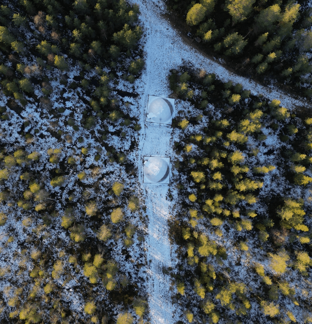 Your secret Igloo in the Arctic&nbsp;Forest